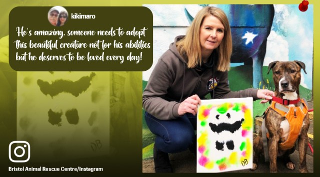 Dog’s paintings auctioned for 500 pounds, Dog’s paintings raise money for charity, Banksy the dog, Bristol Animal Rescue Centre, Indian Express