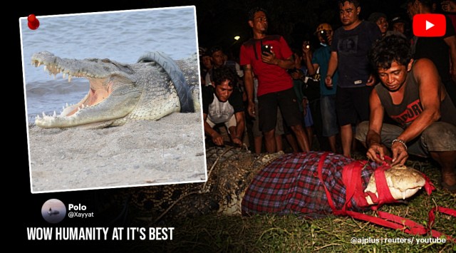 Watch: Crocodile with tyre around its neck freed after 6 years ...