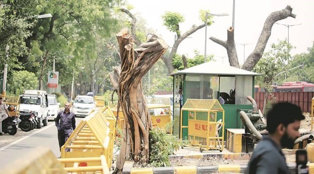 The court also said the citizens of Delhi should not suffer “because of such callous disregard of rules and regulations and orders to protect the environment”. (Express photo by Praveen Khanna/File)