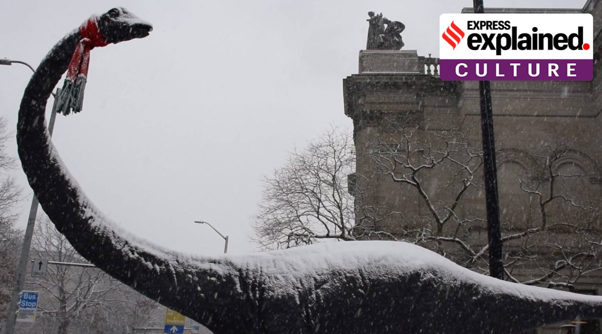 London's 26-metre-long Dippy is a plaster cast replica of the fossilised bones of a diplodocus carnegii skeleton. (Twitter/ @Dippy_the_Dino)