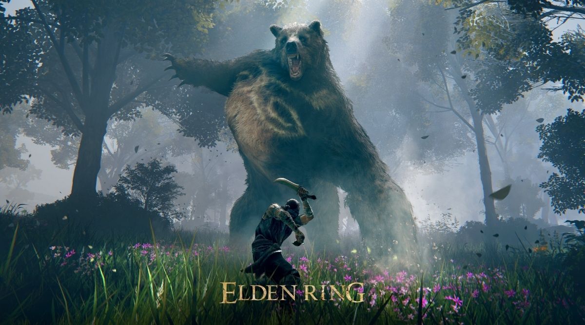  Elden Ring: Collector's Edition - PlayStation 4 : Video Games