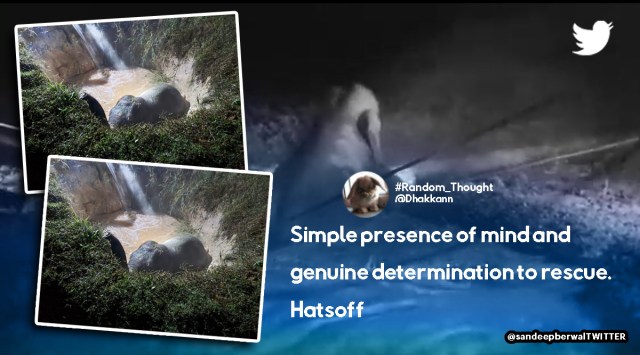 elephant rescue, elephant falls in pit rescued, elephant rescued from ditch using water, viral video, indian express
