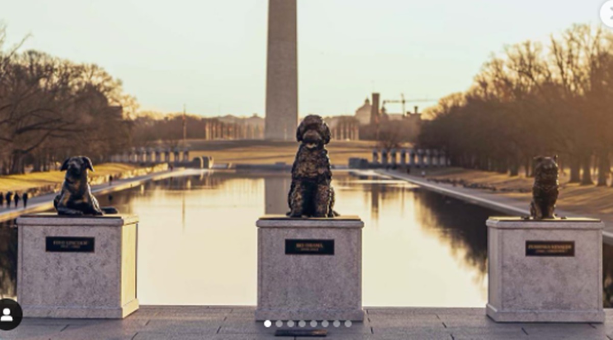 ‘Pups of the United States’: Dog nutrition brand honours three famous presidential dogs