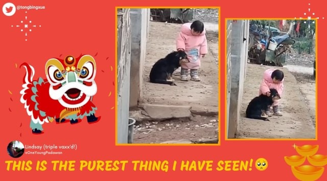 girl cover dogs ears, dog scared of cracker girl cover ears, lunar new year, chinese new year, happy lunar year 2022, year of tiger, indian express, viral videos