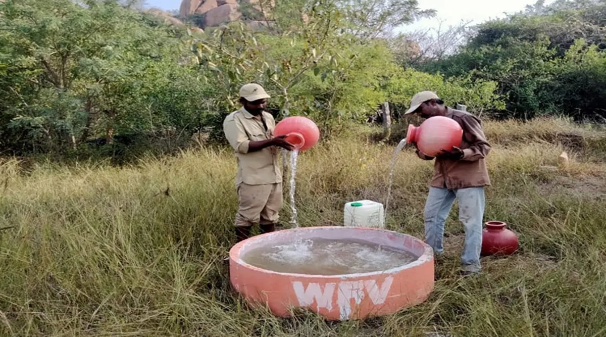 Karnataka: NGO installs water troughs for wild animals in Koppal |  Bangalore News - The Indian Express