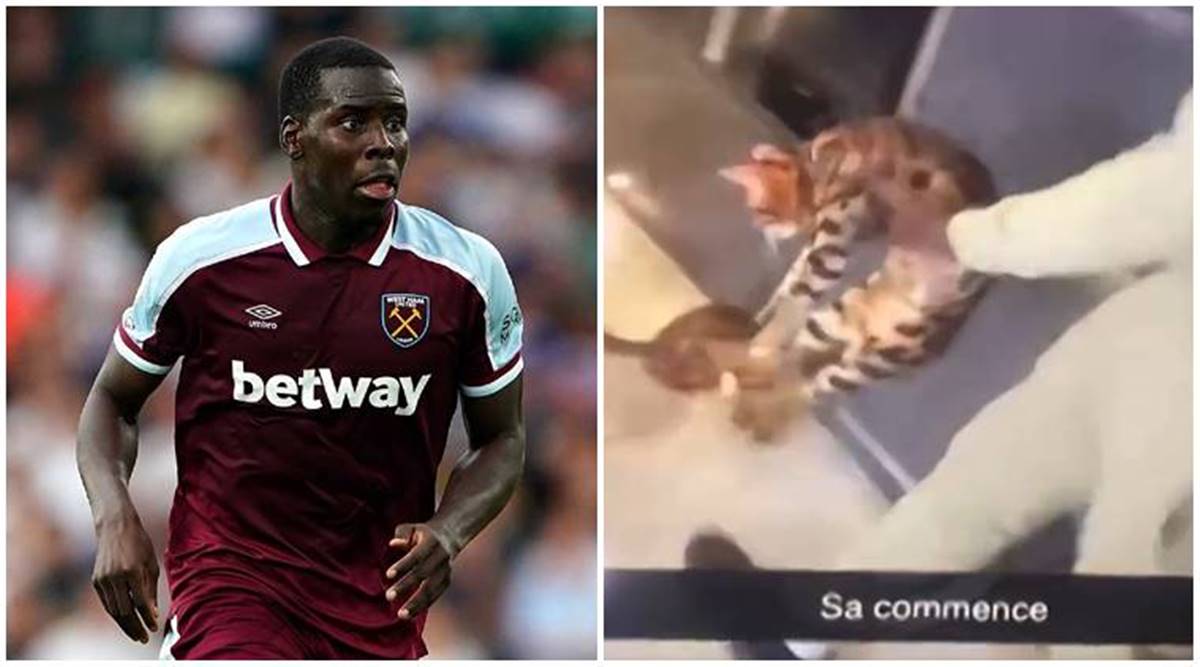 Kurt Zouma Cat Video Twitter: Is Kurt Arrested For Kicking The Cat? Issued An Apology After The Kicking Incident - Watch