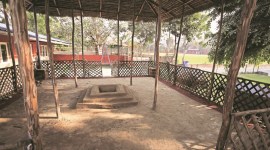 Delhi University, Delhi Lakshmibai College, DU Lakshmibai College, Delhi news, Delhi city news, New Delhi, India news, Indian Express News Service, Express News Service, Express News, Indian Express India News