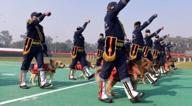 Out of the 64 in the squad, 49 dogs are experts in explosive detection and 13 are trackers. (Archive)