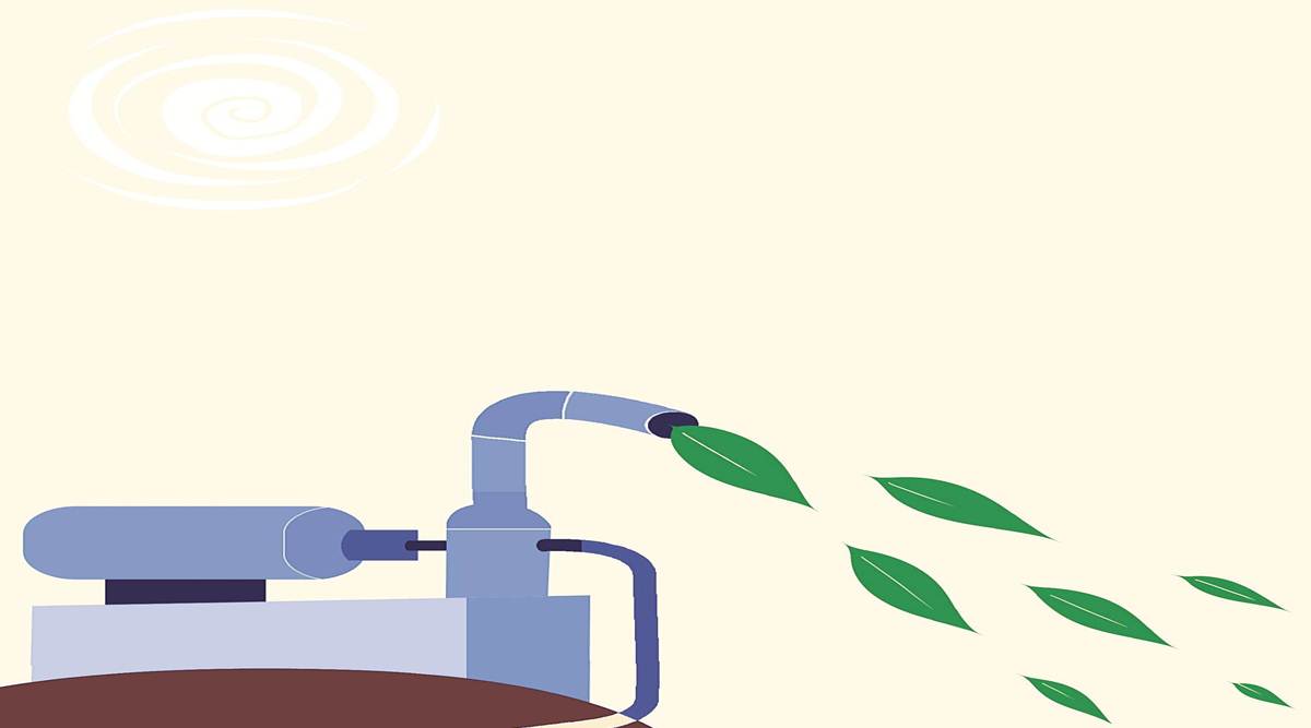 India, India latest news, carbon neutrality, CoP26, climate, agriculture, Union Budget, Budget 2022, Nirmala Sitharaman, natural farming, farming, minimum support prices, MSP, Food Corporation of India, Greenhouse gases, carbon dioxide, indian express