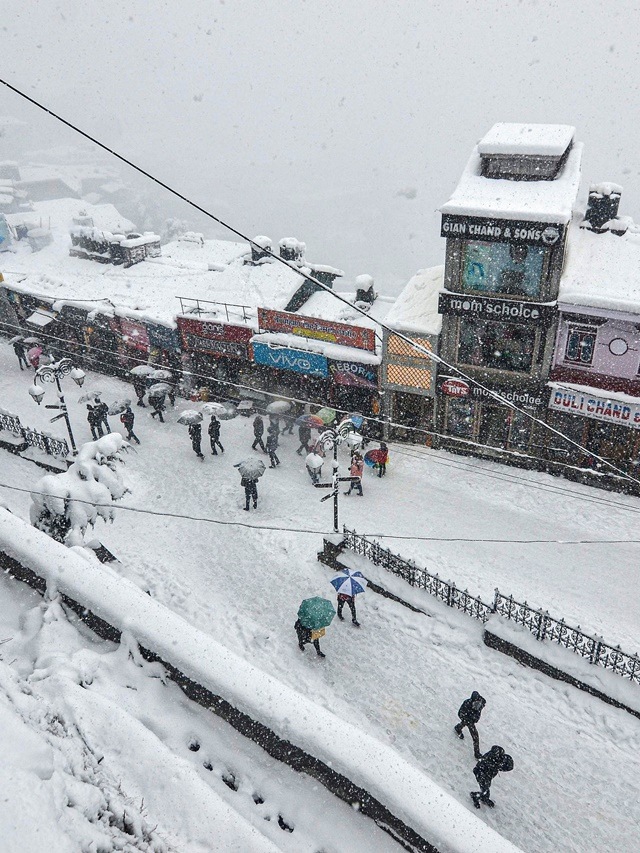 Fresh spell of snowfall blankets Shimla The Indian Express