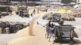 India, India latest news, Pakistan, Afghanistan, humanitarian assistance to Afghanistan, wheat to Afghanistan, World Food Programme, Punjab assembly elections, indian express