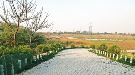 yamuna-5col River Yamuna, Delhi Development Authority (DDA), Geeta Colony flyover, Nizamuddin Bridge, DND flyway, Yamuna floodplains, Delhi news, Delhi city news, New Delhi, India news, Indian Express News Service, Express News Service, Express News, Indian Express India News