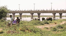 yamuna National Green Tribunal (NGT), River Yamuna, Yamuna floodplains, solid waste management, Municipal Corporation of Delhi (MCD), Delhi news, Delhi city news, New Delhi, India news, Indian Express News Service, Express News Service, Express News, Indian Express India News