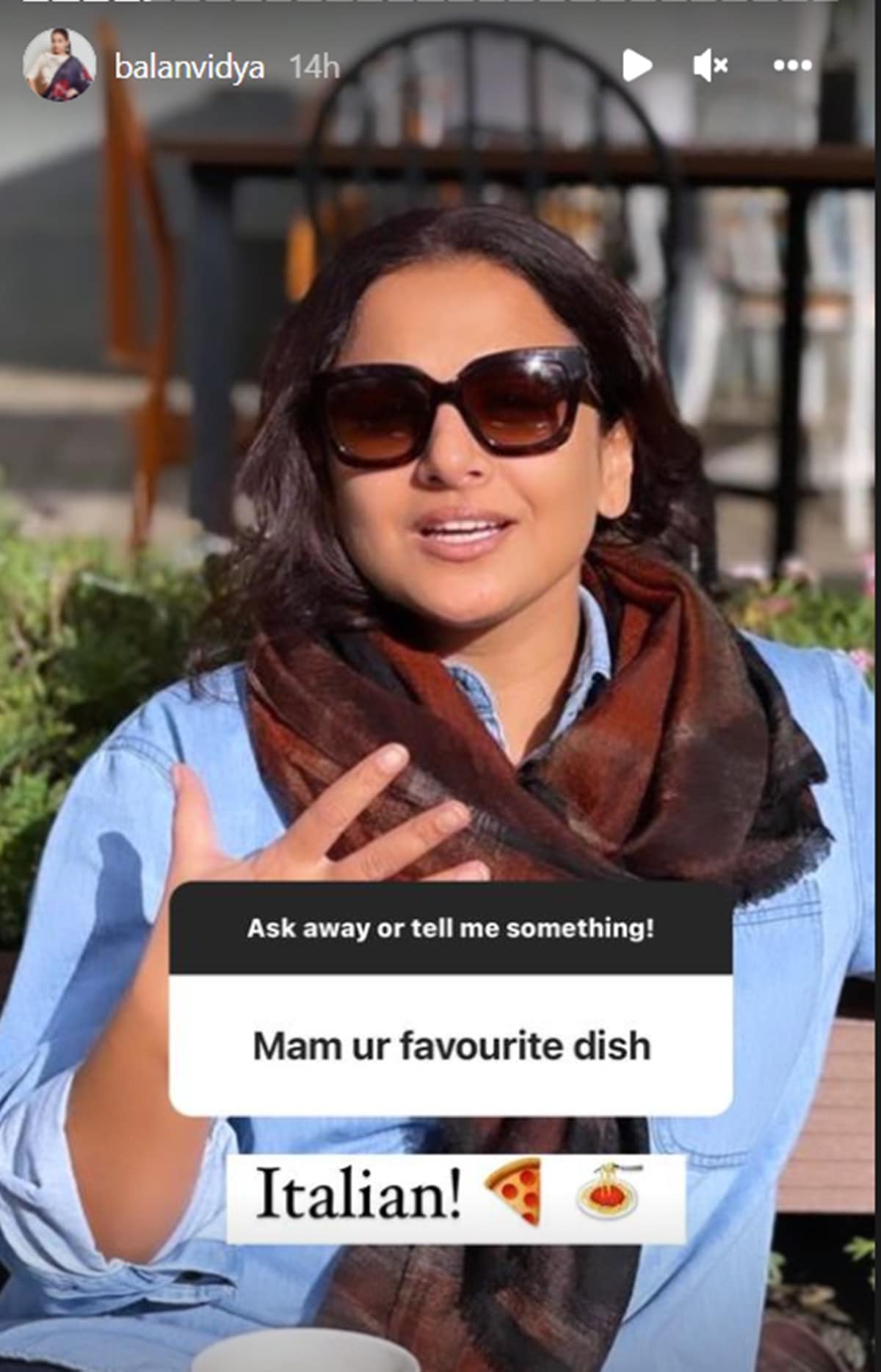vidya