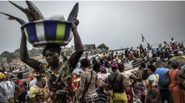 Covid-19, Covid africa, Covid mystery, Africa Covid mystery, Africa Covid mystery, world news, Indian express