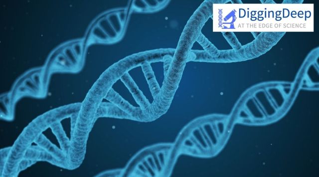 Ancient African DNA reveals complex insights of human migration