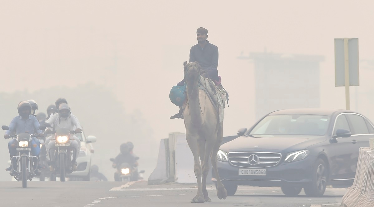 The analysis states that this winter, there was only a marginal improvement in Delhi’s air quality, despite it being the wettest one in over a century. (File Photo)