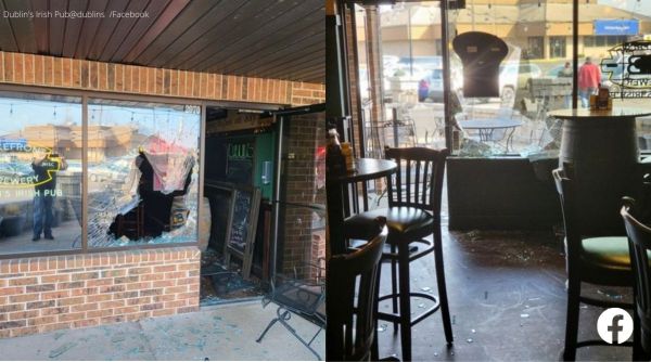deer crashes into pub, pub, deer enters pub, herd of deer overruns into pub, deer, US, indian express