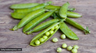 diet, dietary changes, healthy diet, what is pea protein, health benefits of pea protein, healthy eating, indian express news