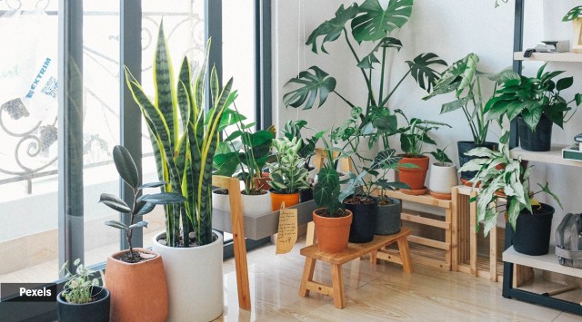 Home decor (2)
