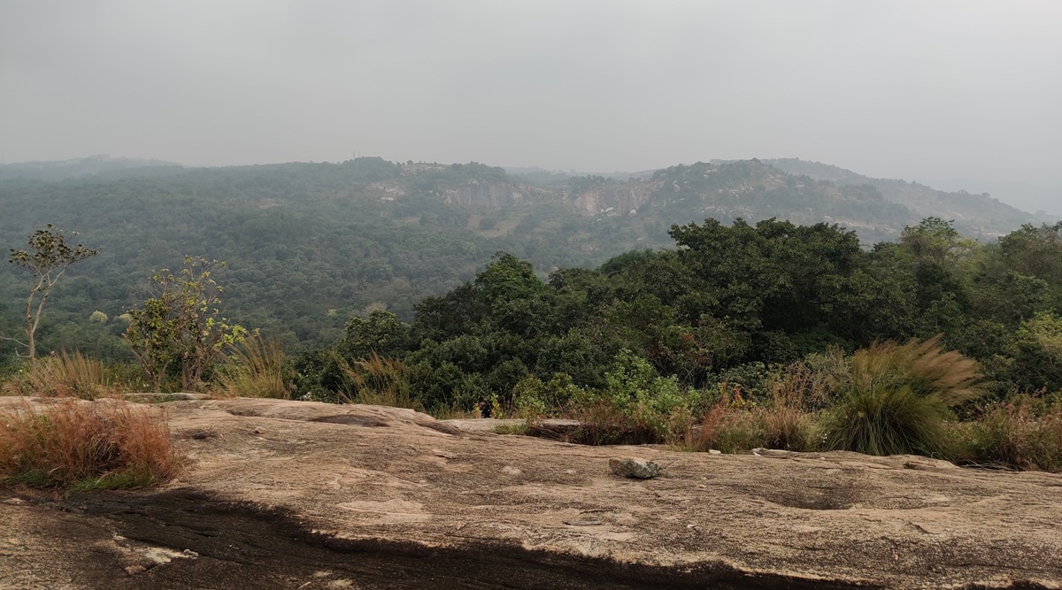 Several activists have lauded the efforts of the deputy commissioner