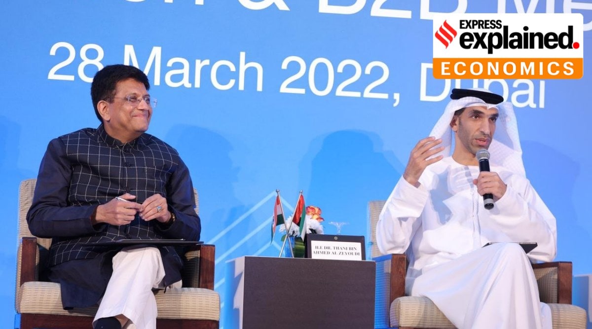 Minister of Commerce & Industry Piyush Goyal and UAE Minister of State for Foreign Trade Thani bin Ahmed Al Zeyoudi address a meet on India-UAE CEPA (Twitter/@PiyushGoyal)