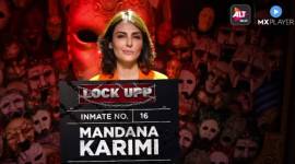 mandana karimi in lock upp
