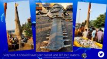 Critically endangered sawfish caught off Karnataka coast. Watch video