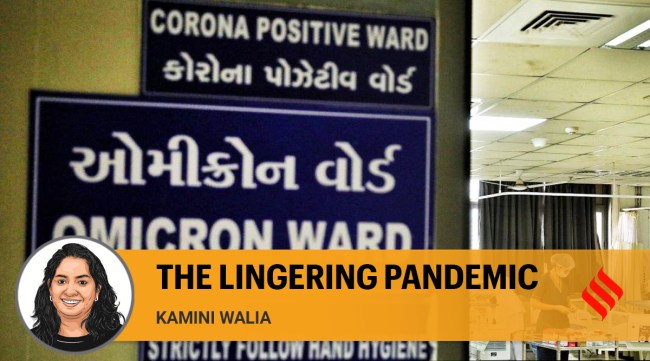 At a Covid-19 ward in Gujarat amid the Omicron wave. (Express Photo: Nirmal Harindran, File)
