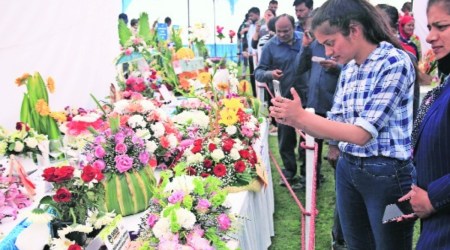 During the first day of two-day 34th Spring Festival at Town Park in Sector 5, Panchkula, 
on Saturday.  (Jaipal Singh)