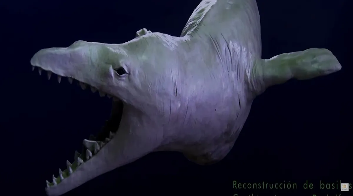 En Perú, cráneo de ‘monstruo marino’ apunta a aterrador depredador antiguo
