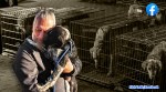 Ukraine, pets rescued from Ukraine, man goes to Ukraine to rescue pets, Ukraine Russia, indian express