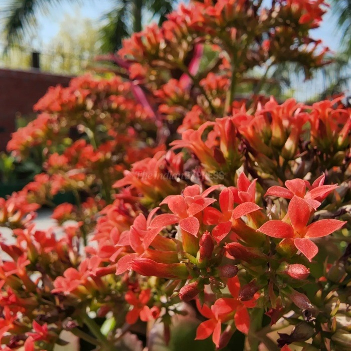 Samsung Galaxy S22 Ultra review camera