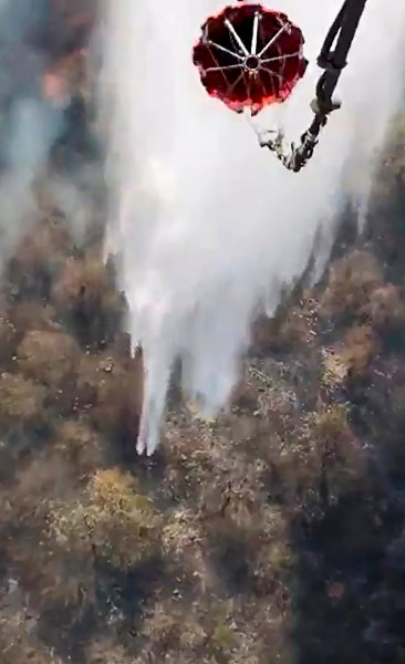 Sariska fire, Sariska Tiger Reserve, Sariska Tiger Reserve fire, fire at Sariska, Sariska tiger reserve fire incident, Rajasthan Sariska fire, Rajasthan fire, Rajasthan news, Indian Express news