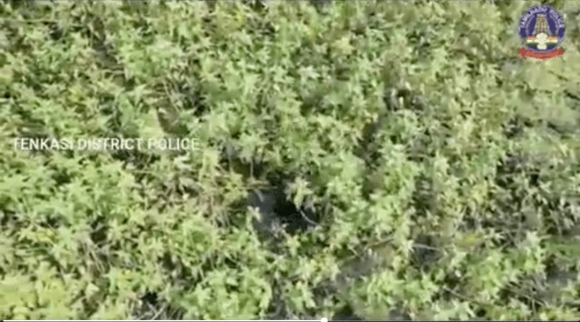 
An official at the SP office said, “Hameed had gone into hiding in the Pachanayakkan Pothai area which is about 50 acre surrounded by thick bushes, trees, shrubs." (Twitter/@TenkasiPolice)