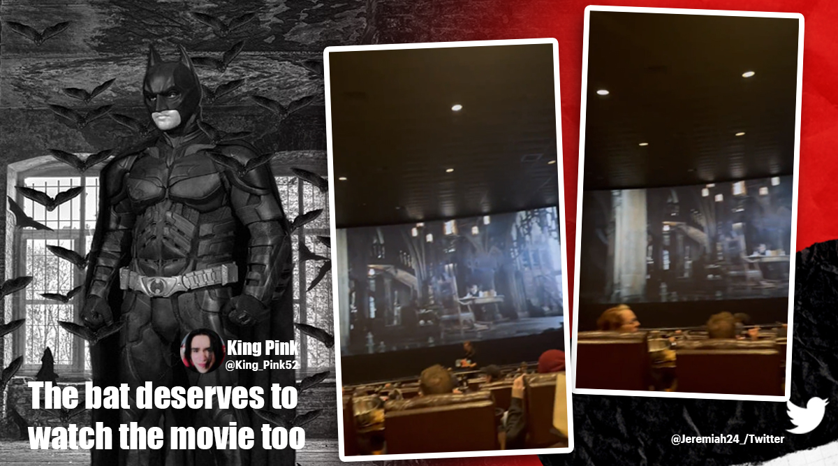 Live bat flies inside theatre during The Batman screening. Watch video |  Trending News,The Indian Express
