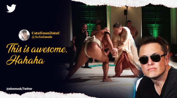 Elon Musk sumo wrestling, Elon Musk challenge Putin, Elon Musk, Tesla, wrestling, Elon Musk wrestling, indian express