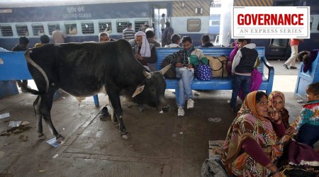 Northern Railway recorded the highest number of cattle run-over cases at around 6,800. (AP/File)