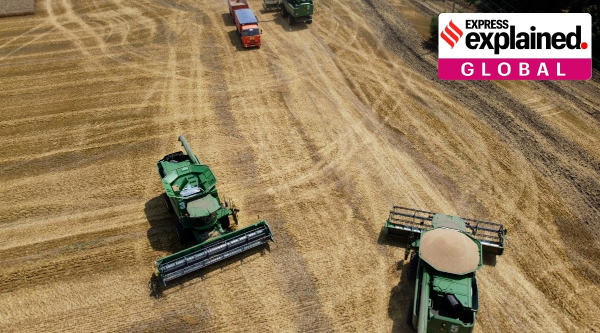 The invasion has already pushed wheat prices by 70 per cent in the last month. Wheat prices shot to a record $12.94 per bushel. (AP)