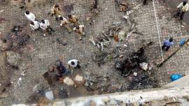 2008 Ahmedabad serial blasts case, 2008 Ahmedabad serial blasts, Gujarat High Court, death sentence, Gujarat news, Indian Express, India news, current affairs, Indian Express News Service, Express News Service, Express News, Indian Express India News