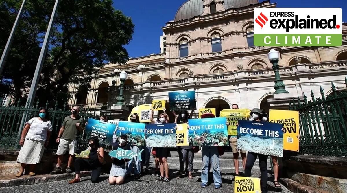 Environmental activists protest in Brisbane to highlight the threat of climate change to the Great Barrier Reef (Jono Searle/EPA, via Shutterstock)
