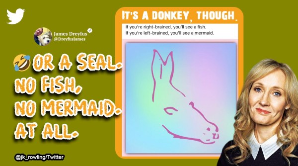 J K Rowling, optical illusion, mermaid or fish, donkey, viral optical illusion, indian express