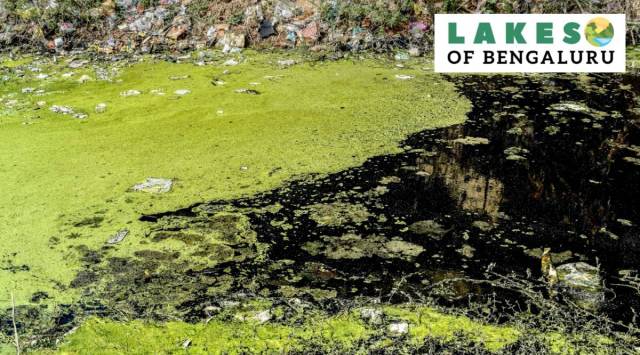 he lake was encroached by private individuals and construction debris had covered a majority of the waterbody. The sewage was flowing into the lake. (Express Photo)