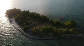 coffee caye