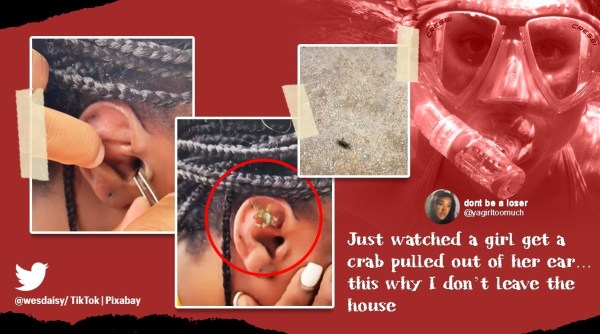 snorkeling, crab in ear, ear crawls woman ear, crab enters ear snorkeling, san juan snorkeling crab ear video, viral video, indian express