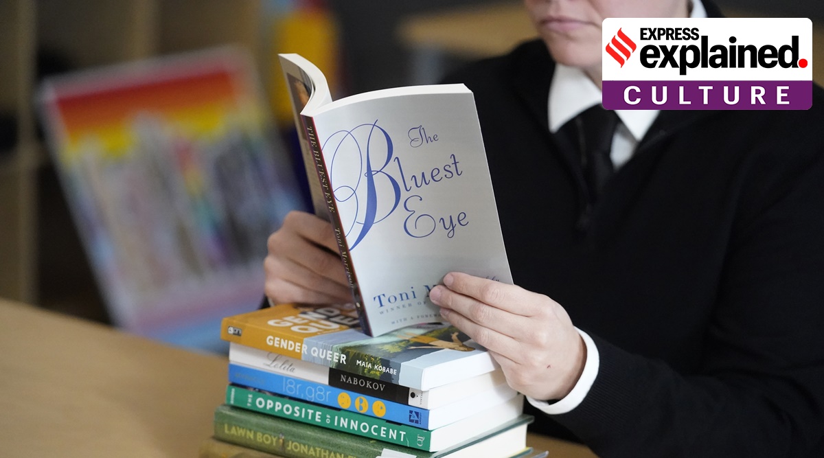 Toni Morrison's The Bluest Eye was among the eight books banned from school libraries in the Wentzville School District in St Louis, Missouri. (AP)