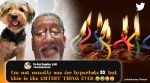man dog joint birthday party, man prints flyers dog birthday party, man 60th birthday with pet, good pet stories, indian express