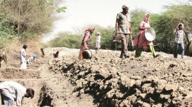 caste-based wage payment, MGNREGA, MGNREGA funds, MGNREGA payments, MGNREGA scheme, Fund Transfer Order, monthly wages, Indian Express, India news, current affairs, Indian Express News Service, Express News Service, Express News, Indian Express India News