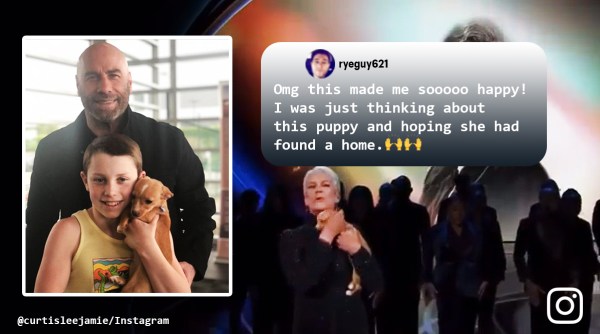 oscars 2022, oscars betty white tribute, betty white tribute dog, dog betty white tribute adopted, John Travolta adopt oscars dog, good news, indian express