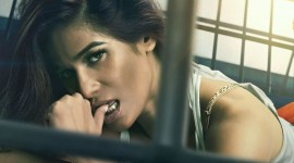 poonam pandey, lock upp